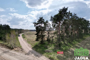 Działka na sprzedaż 1158m2 nakielski Szubin Kołaczkowo - zdjęcie 2