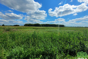 Działka na sprzedaż 1100m2 bydgoski Białe Błota Kruszyn Krajeński - zdjęcie 2