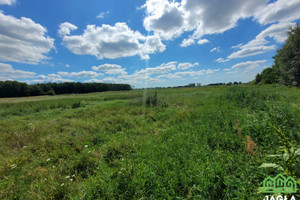 Działka na sprzedaż 1100m2 bydgoski Białe Błota Kruszyn Krajeński - zdjęcie 3