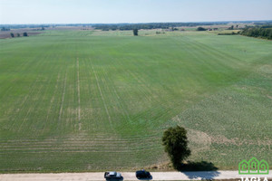 Działka na sprzedaż 5999m2 bydgoski Sicienko Gliszcz - zdjęcie 3