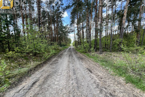 Działka na sprzedaż sochaczewski Młodzieszyn Nowe Mistrzewice - zdjęcie 1