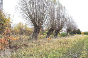 Działka na sprzedaż 1000m2 nowodworski Stegna Mikoszewo - zdjęcie 2