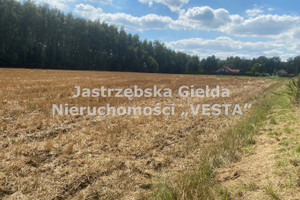 Działka na sprzedaż 8967m2 pszczyński Pawłowice Pielgrzymowice - zdjęcie 3