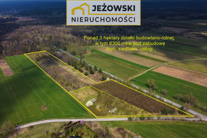 Działka na sprzedaż 30702m2 opolski Karczmiska Karczmiska Pierwsze - zdjęcie 3