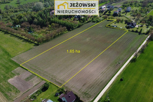 Działka na sprzedaż 16487m2 puławski Janowiec Wojszyn - zdjęcie 1