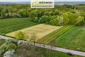 Działka na sprzedaż 6536m2 puławski Kazimierz Dolny - zdjęcie 2