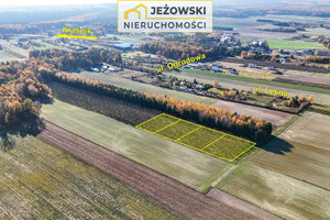 Działka na sprzedaż 1500m2 kraśnicki Urzędów - zdjęcie 3