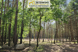 Działka na sprzedaż 8500m2 płoński Nowe Miasto Nowosiółki - zdjęcie 2