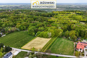 Działka na sprzedaż 6536m2 puławski Kazimierz Dolny - zdjęcie 1