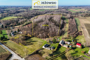 Działka na sprzedaż 42300m2 puławski Wąwolnica Zawada - zdjęcie 2