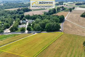 Działka na sprzedaż 4400m2 puławski Kazimierz Dolny Wierzchoniów - zdjęcie 2