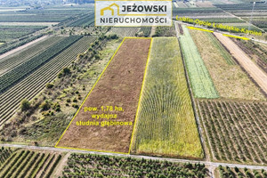 Działka na sprzedaż 17800m2 opolski Łaziska Kamień - zdjęcie 3