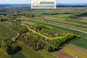 Działka na sprzedaż 12611m2 opolski Karczmiska Karczmiska Drugie - zdjęcie 3