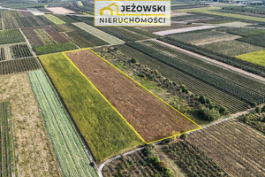 Działka na sprzedaż 17800m2 opolski Łaziska Kamień - zdjęcie 2