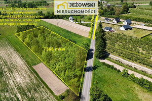 Działka na sprzedaż 7368m2 puławski Kazimierz Dolny Jeziorszczyzna - zdjęcie 3