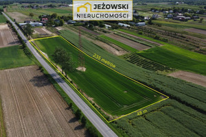 Działka na sprzedaż 10957m2 puławski Końskowola Stary Pożóg - zdjęcie 3