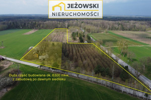 Działka na sprzedaż 30702m2 opolski Karczmiska Karczmiska Pierwsze - zdjęcie 2