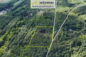 Działka na sprzedaż 8500m2 płoński Nowe Miasto Nowosiółki - zdjęcie 3