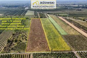 Działka na sprzedaż 17800m2 opolski Łaziska Kamień - zdjęcie 2