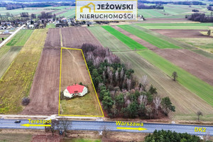 Działka na sprzedaż 10500m2 siedlecki Zbuczyn Grochówka - zdjęcie 2