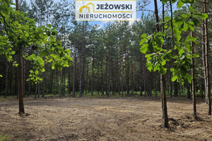 Działka na sprzedaż 8500m2 płoński Nowe Miasto Nowosiółki - zdjęcie 3