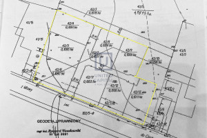 Działka na sprzedaż 8294m2 ciechanowski Regimin Pawłowo - zdjęcie 2