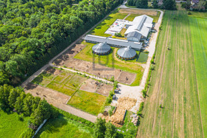 Komercyjne na sprzedaż 28600m2 wołomiński Poświętne Krubki-Górki - zdjęcie 3