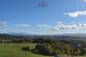 Działka na sprzedaż 4359m2 kłodzki Nowa Ruda Bożków - zdjęcie 1