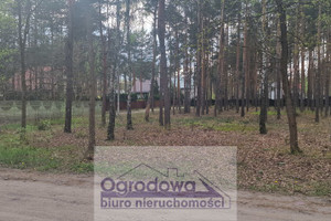 Działka na sprzedaż 4059m2 wołomiński Wołomin Zagościniec - zdjęcie 1