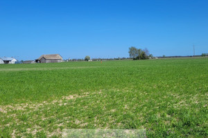 Działka na sprzedaż węgrowski Korytnica - zdjęcie 2