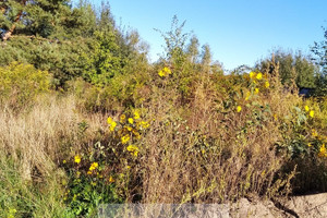 Działka na sprzedaż 1000m2 piaseczyński Piaseczno Głosków - zdjęcie 3