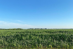 Działka na sprzedaż 11800m2 grodziski Grodzisk Mazowiecki Stare Kłudno - zdjęcie 1