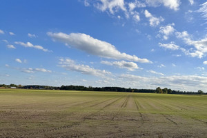 Działka na sprzedaż 3290m2 nowodworski Nasielsk Jaskółowo - zdjęcie 3