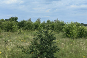 Działka na sprzedaż 1877m2 legionowski Wieliszew Kałuszyn - zdjęcie 3