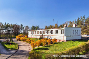 Komercyjne na sprzedaż 1953m2 oleśnicki Dobroszyce Strzelce gm. Dobroszyce - zdjęcie 1