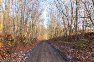 Działka na sprzedaż 1442m2 kartuski Żukowo Łapino Kartuskie Rdestowa - zdjęcie 3