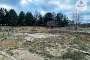 Działka na sprzedaż 3002m2 olsztyński Stawiguda Gągławki - zdjęcie 3