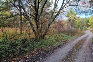 Działka na sprzedaż 18707m2 olsztyński Jonkowo Stękiny - zdjęcie 1