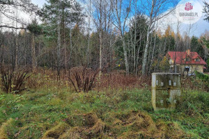 Działka na sprzedaż 18707m2 olsztyński Jonkowo Stękiny - zdjęcie 3