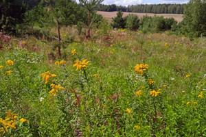 Działka na sprzedaż 5771m2 olsztyński Biskupiec Biesówko - zdjęcie 1