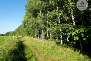 Działka na sprzedaż 4059m2 olsztyński Dobre Miasto Orzechowo - zdjęcie 1