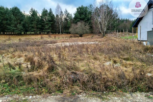 Działka na sprzedaż 3002m2 olsztyński Stawiguda Gągławki - zdjęcie 2