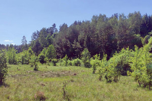 Działka na sprzedaż 10250m2 olsztyński Barczewo Bartołty Wielkie - zdjęcie 2