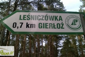 Działka na sprzedaż 4697m2 ostródzki Ostróda Gierłoż - zdjęcie 3