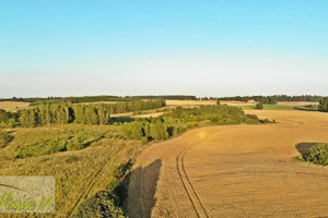 Działka na sprzedaż 98034m2 ostródzki Ostróda Ornowo - zdjęcie 2