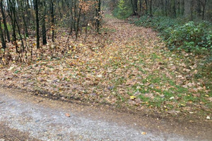 Działka na sprzedaż 3300m2 tomaszowski Żelechlinek Ignatów - zdjęcie 3