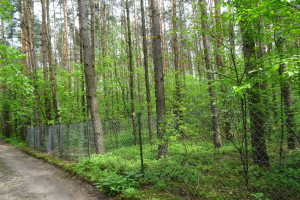 Działka na sprzedaż łaski Wodzierady Kwiatkowice-Las - zdjęcie 1