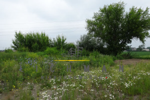 Działka na sprzedaż 2581m2 pabianicki Pabianice Piątkowisko - zdjęcie 1