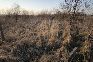 Działka na sprzedaż 1564m2 gliwicki Pilchowice Nieborowice - zdjęcie 1