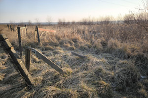 Działka na sprzedaż 1564m2 gliwicki Pilchowice Nieborowice - zdjęcie 2